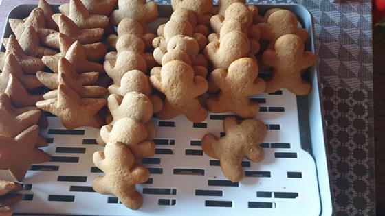 WhatsApp Image 2025-12-24 at 10.44.48.jpeg