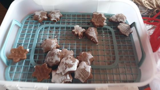 WhatsApp Image 2025-12-24 at 10.44.47.jpeg