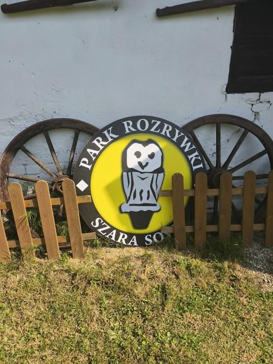 wakacje-gwiazdeczki-101.jpeg