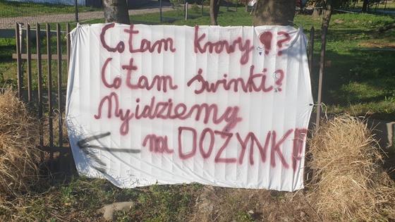 dozynki-wawrzka-2026-034.jpeg