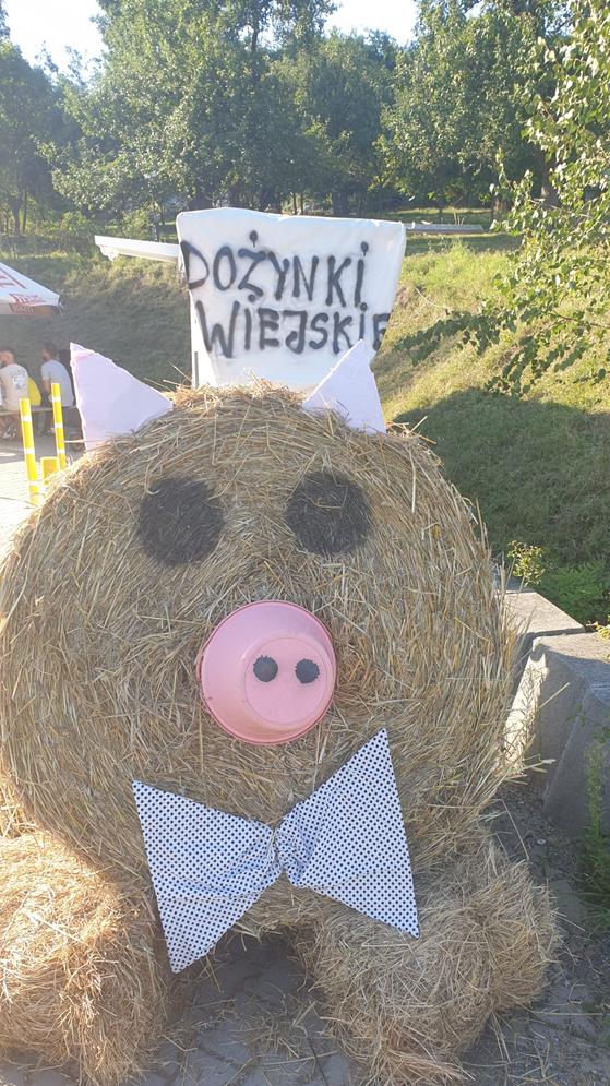 dozynki-wawrzka-2026-037.jpeg